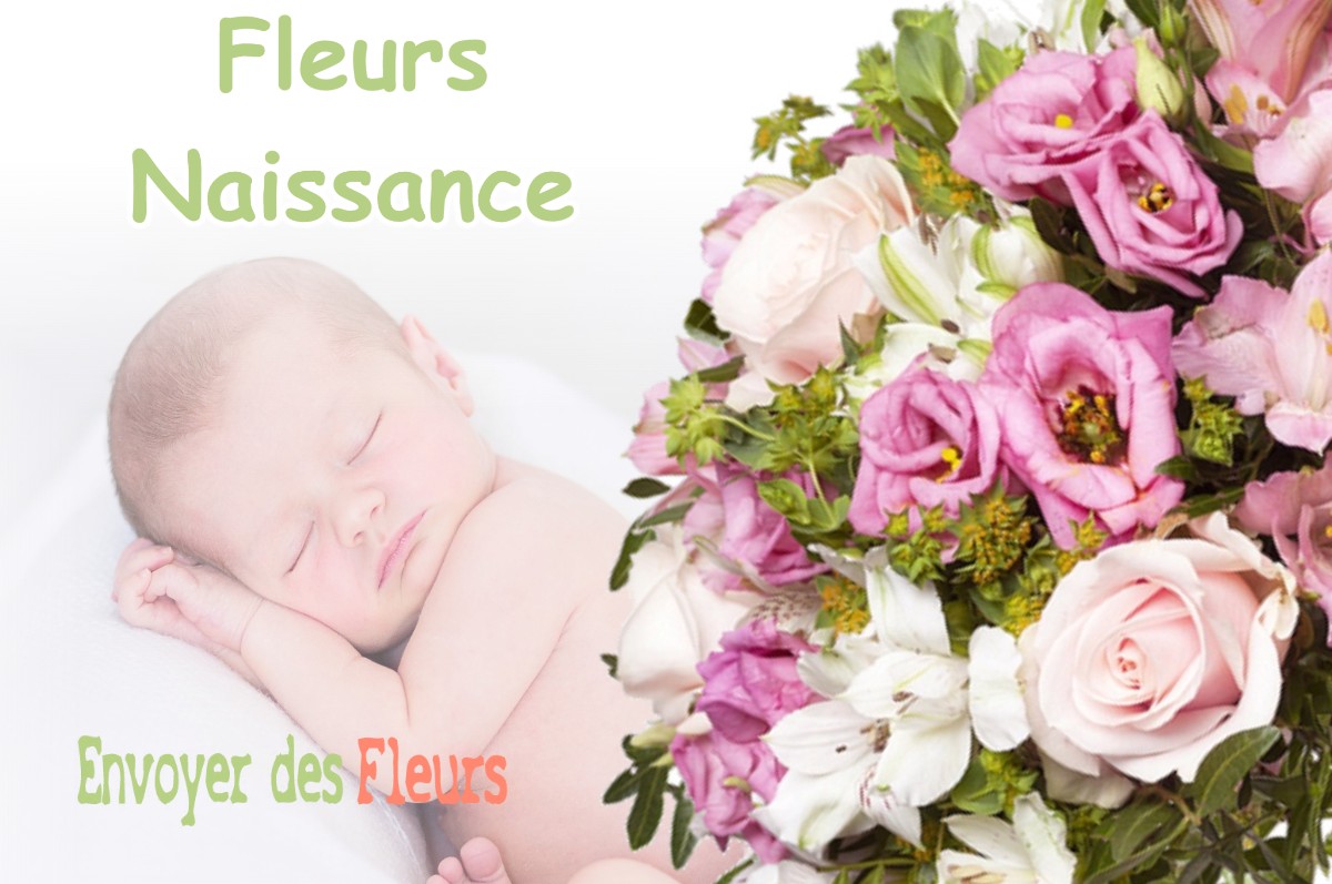 lIVRAISON FLEURS NAISSANCE à GAMARDE-LES-BAINS